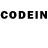 Псилоцибиновые грибы GOLDEN TEACHER Nikitry