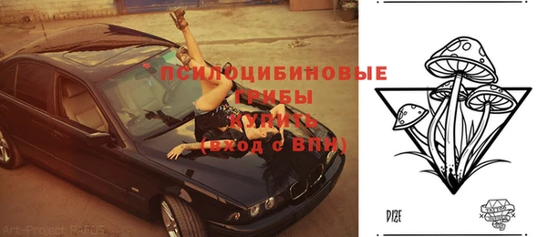 шишки Беломорск