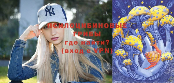 мдпв Вяземский