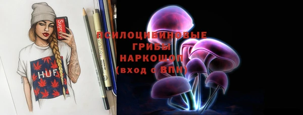 гидра Богородск