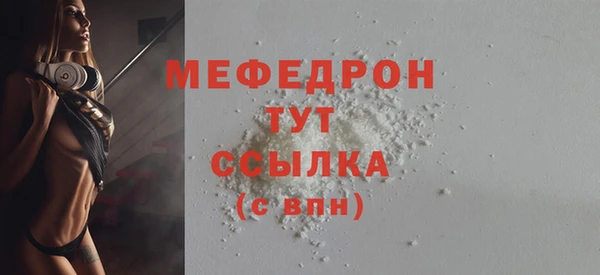 гидра Богородск