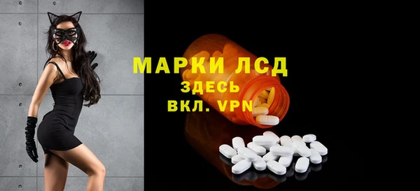 стаф Зеленодольск
