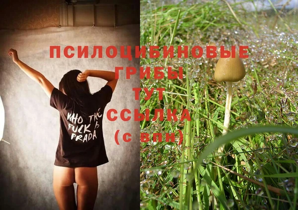 мяу мяу мука Белокуриха