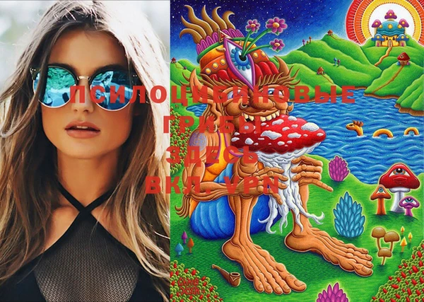 мяу мяу мука Белокуриха