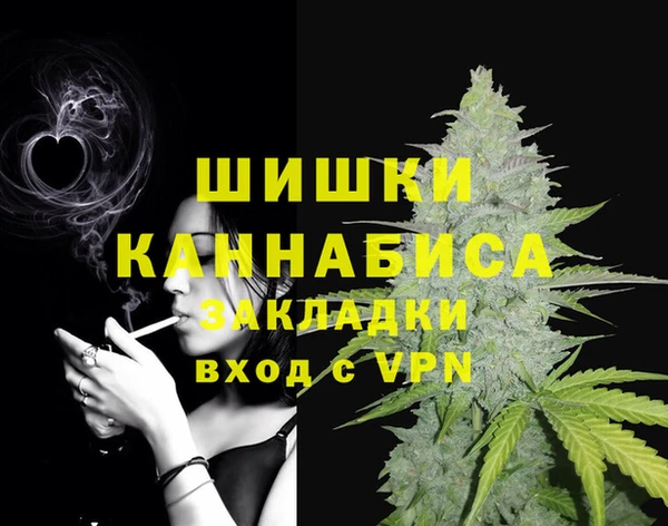 шишки Беломорск