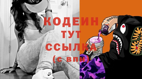 шишки Беломорск