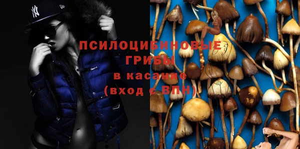 гидра Богородск