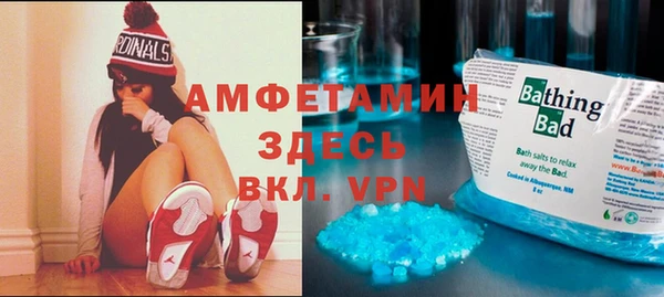 гидра Богородск