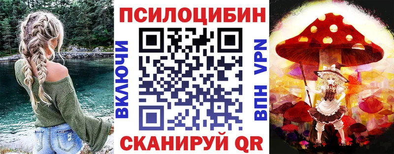 купить наркотики сайты  Беслан  Галлюциногенные грибы мицелий 